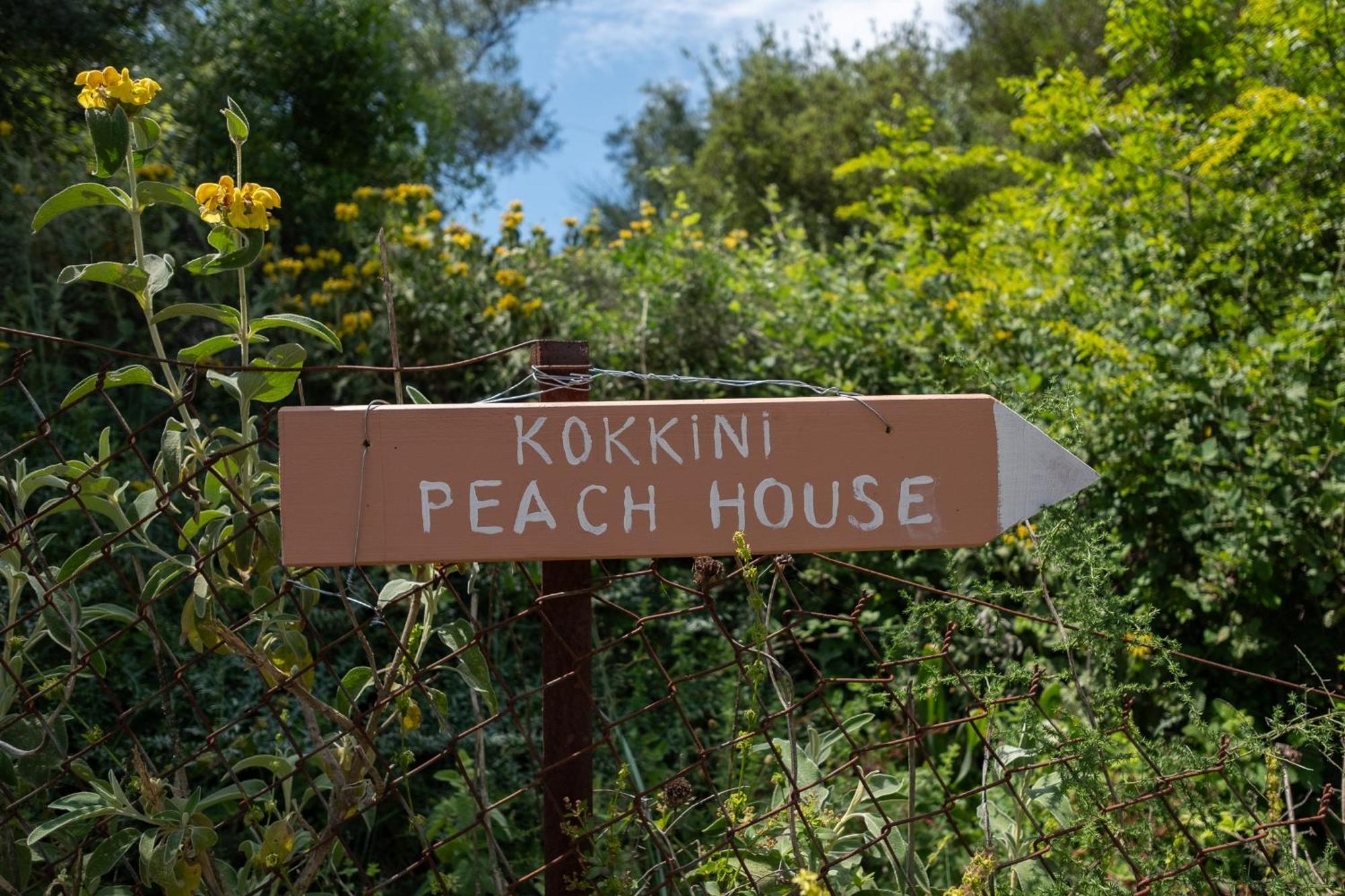 Апартаменти Kokkini Peach House Kokkinion Екстер'єр фото